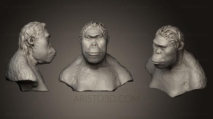 Busts and heads antique and historical (BUSTA_0552) 3D model for CNC machine